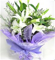 百合鮮花 百合鮮花