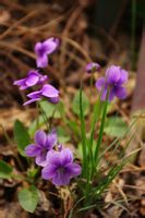 軌跡air，賓得kr拍攝