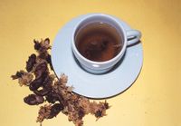 蟬蛻菊花茶 蟬蛻菊花茶