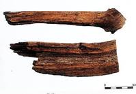 降香-藥用 降香-藥用