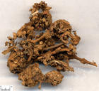 密蒙花中藥飲片