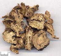 藁本 中藥材飲片 藁本 中藥材飲片