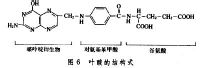 葉酸結(jié)構(gòu)式