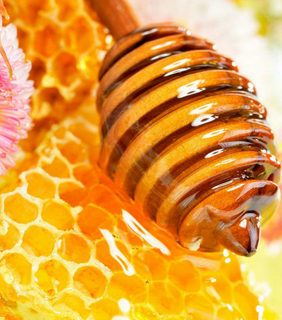 �������ˎ