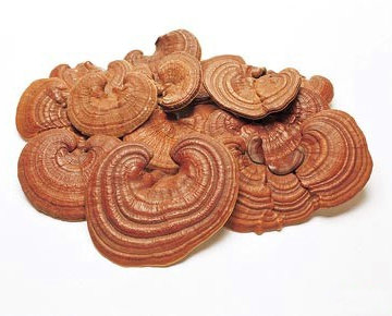 �塢�����������ˎ