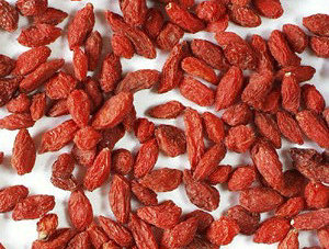 �������N�����ˎ