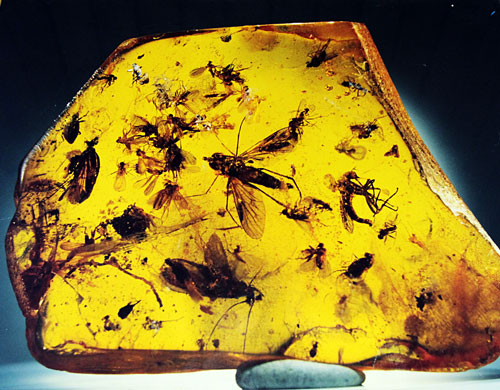 �������ˎ