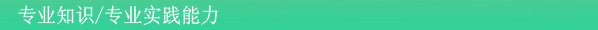 專(zhuān)業(yè)知識(shí)/專(zhuān)業(yè)實(shí)踐能力