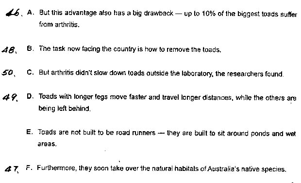 2013���QӢ�Z���}����-�C���A��