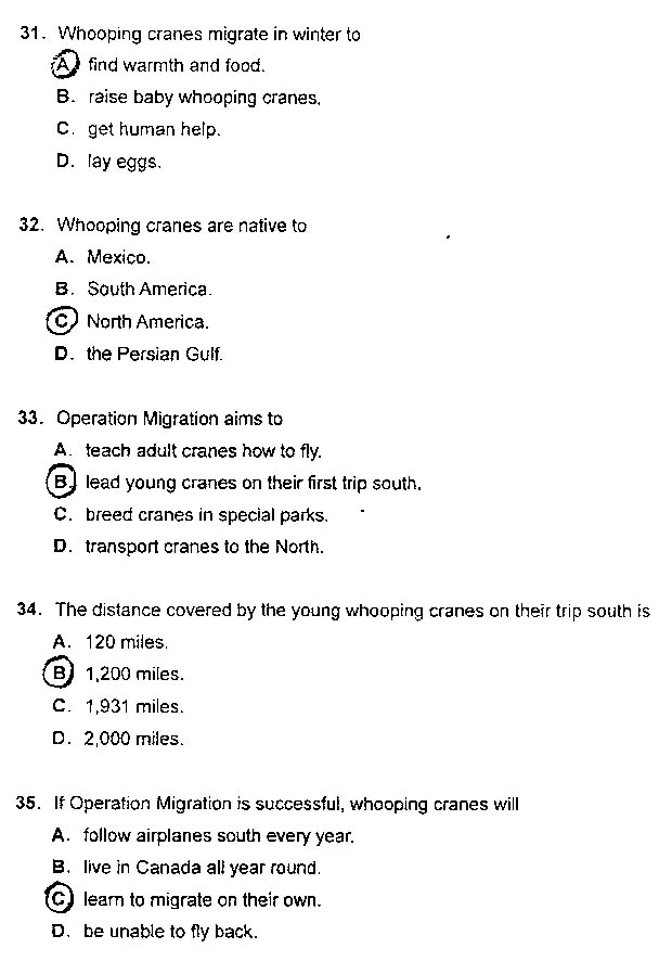 2013���QӢ�Z���}����-�C���B��(j��)