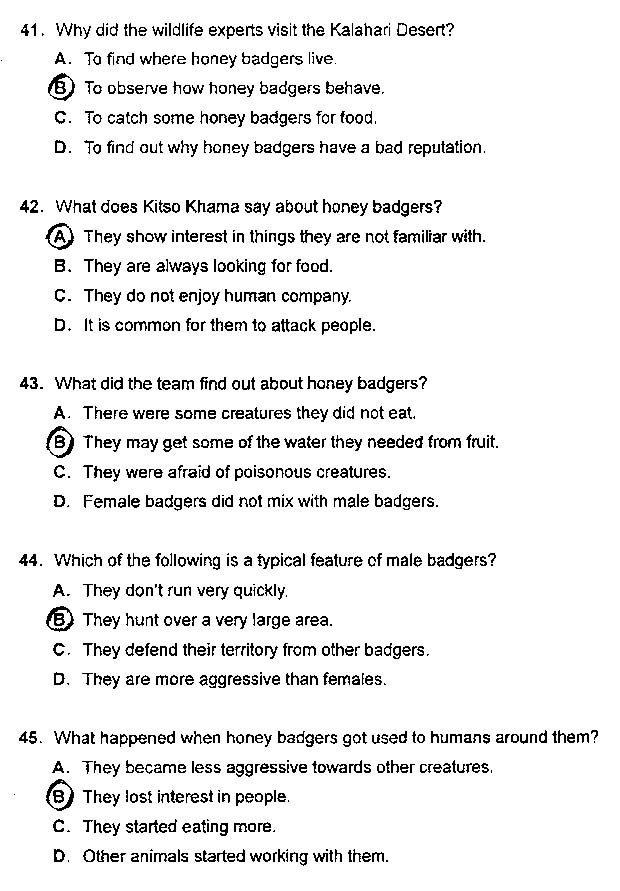 2013���QӢ�Z���}����-�l(w��i)���A��