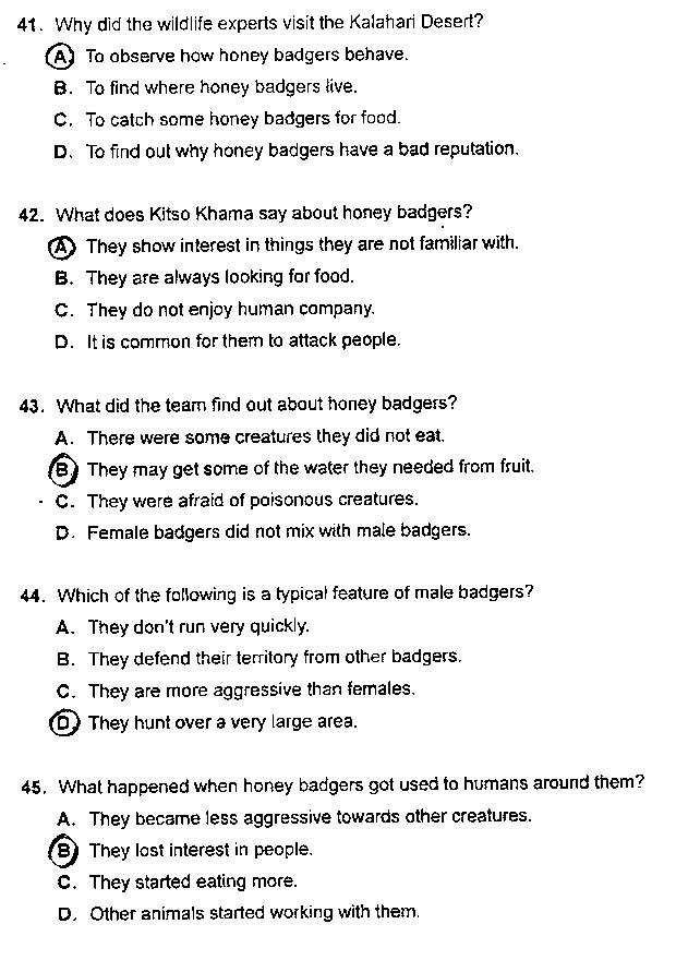 2013���QӢ�Z���}����-�����B��(j��)