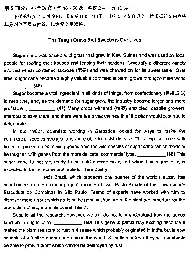 2013���QӢ�Z���}����-�C���B��