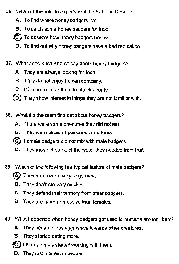 2013���QӢ�Z���}����-�C���B��(j��)