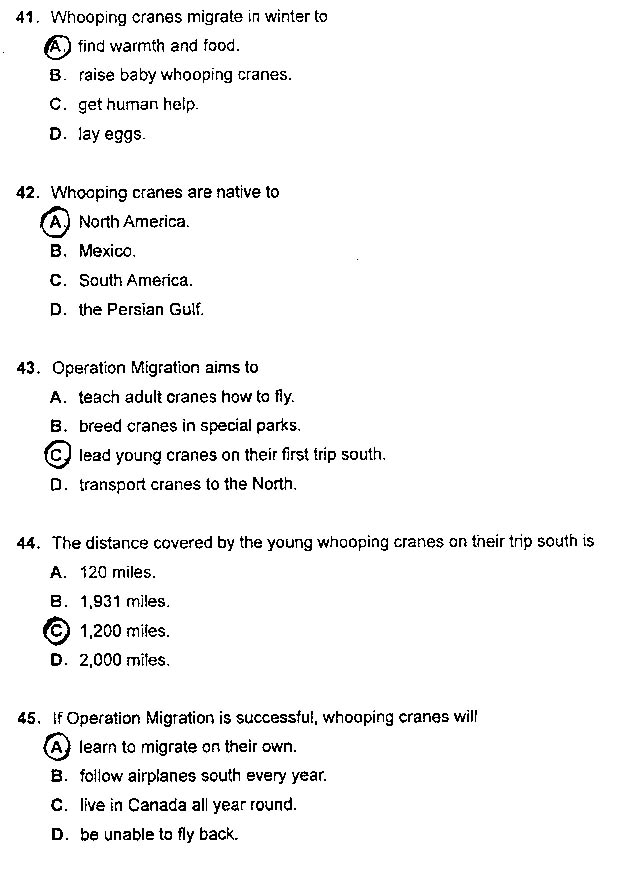 2013���QӢ�Z���}����-�C���C��(j��)