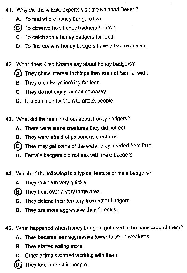 2013���QӢ�Z���}����-�����A��(j��)