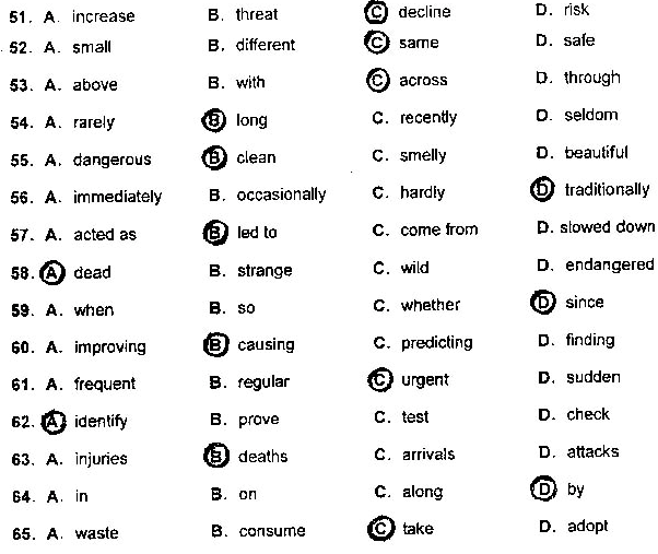 2013���QӢ�Z���}����-�����B��