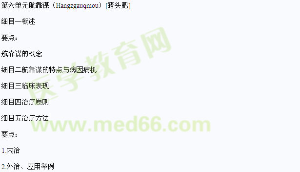 2013年中醫(yī)（狀醫(yī)）執(zhí)業(yè)醫(yī)師壯醫(yī)外（傷、皮）科學(xué)（師承與確有專長(zhǎng)）