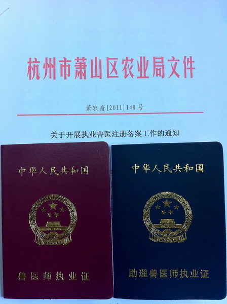 �Fˎ�t(y��)���Y���C