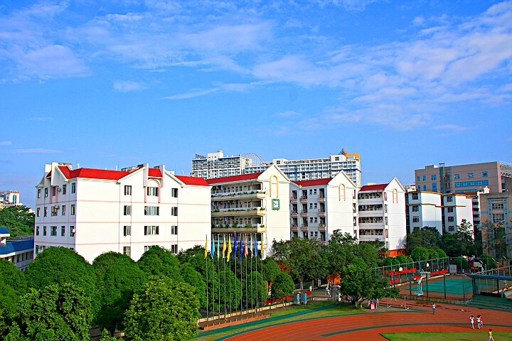 �V�����t(y��)ˎ��W(xu��)����D