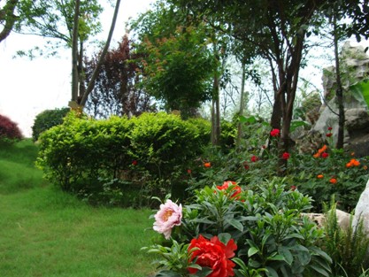 ���t(y��)ˎ��W(xu��)�󻨈@