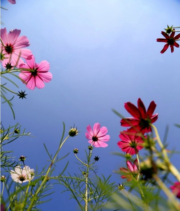 �Ͼ����t(y��)ˎ��W���ֻ�