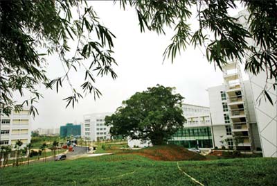 廣州中醫(yī)藥大學(xué)景色