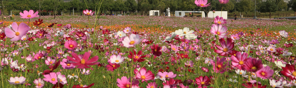 �Ͼ����t(y��)ˎ��W(xu��)����