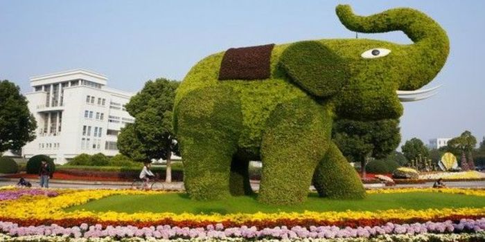 �Ͼ����t(y��)ˎ��W(xu��)�ջ�