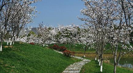 �Ї�ˎ�ƴ�WУ�@�L��