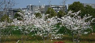 �Ї�ˎ�ƴ�W(xu��)У�@һ��