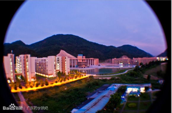 �Vˎ�B(ni��o)D