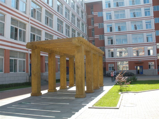 �����t(y��)ˎ�WԺ����