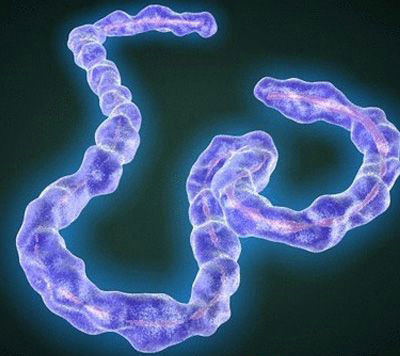 �@������(ji��) ������(zh��n)���Ԍ��^�m(x��)