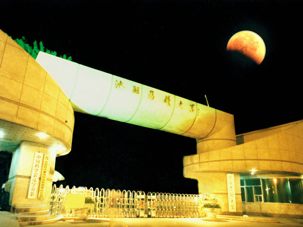 ���ˎ�ƴ�W(xu��)