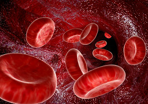 只有血液傳播艾滋病嗎？