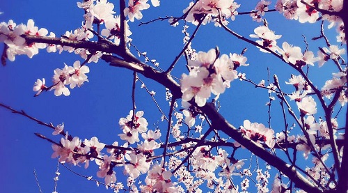 產(chǎn)后抑郁癥的致病原因有哪些？應該如何預防產(chǎn)后抑郁癥？