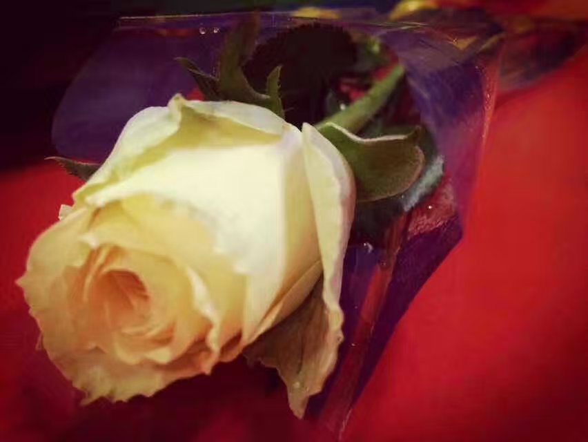 習慣性流產(chǎn)