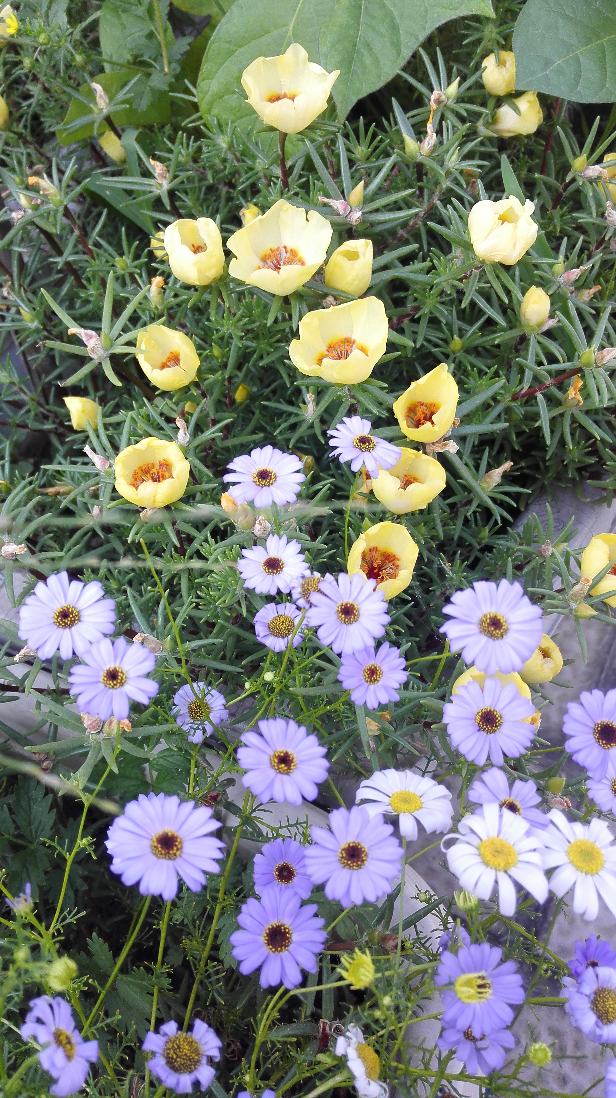 卵巢炎日常護理的措施和保健的辦法有什么