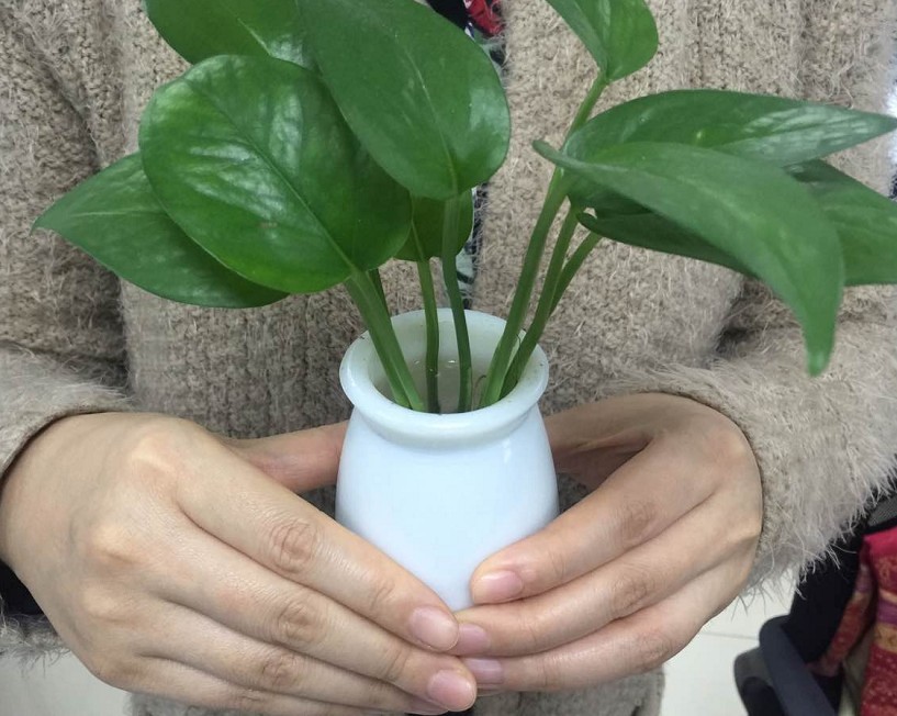  食管癌飲食的注意事項(xiàng)及飲食禁忌有哪些？