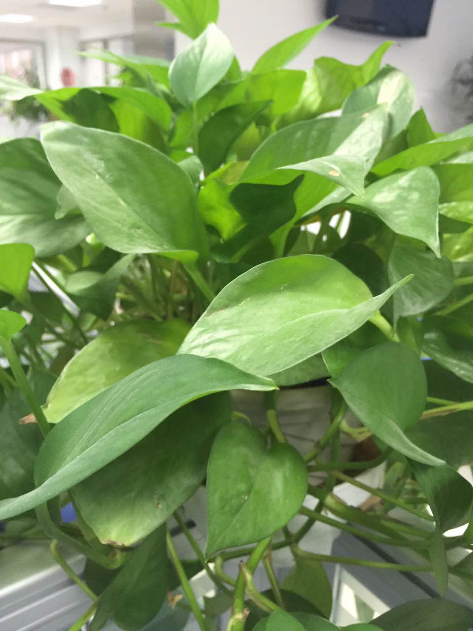 早泄常做檢查項(xiàng)目有哪些？早泄如何預(yù)防與保健？