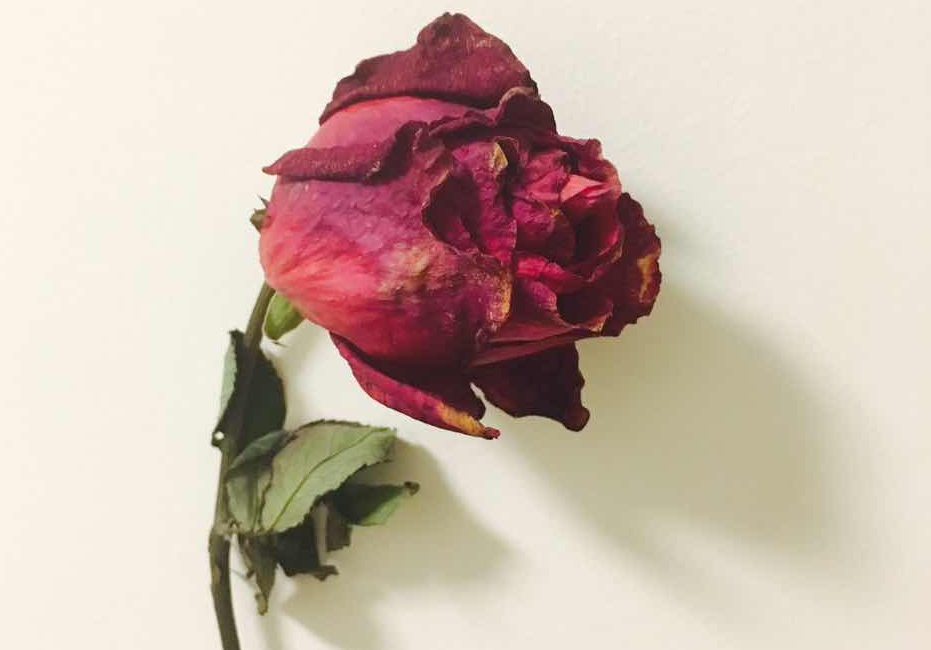 左側(cè)卵巢囊腫預(yù)防要做到的6點(diǎn)