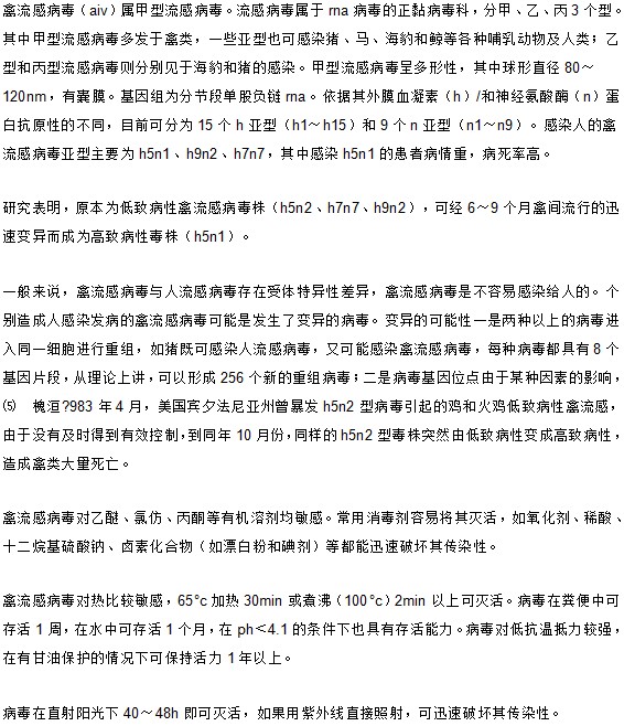 經(jīng)常聽(tīng)到禽流感 你知道禽流感病毒究竟是什么嗎？