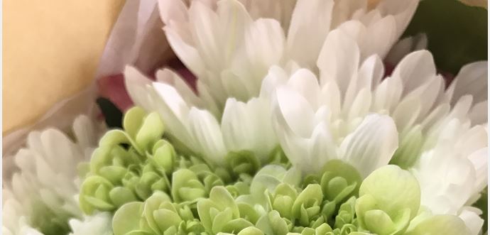 骨性關(guān)節(jié)炎的三種常見(jiàn)的臨床表現(xiàn)特征