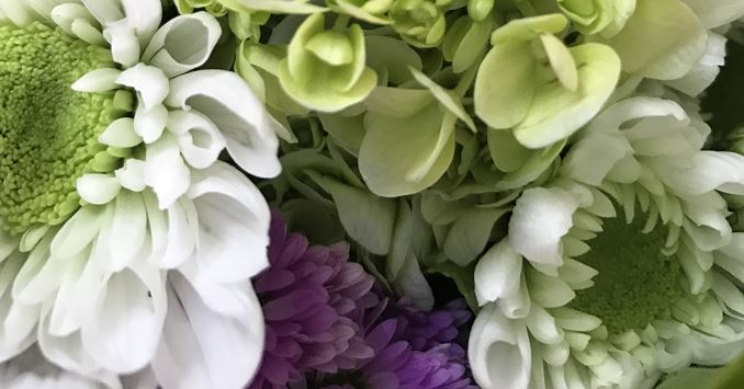 檢測(cè)早產(chǎn)兒智力發(fā)育的六種測(cè)試方法