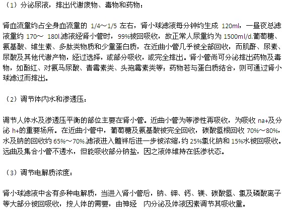 人體腎臟主要有哪些功能？