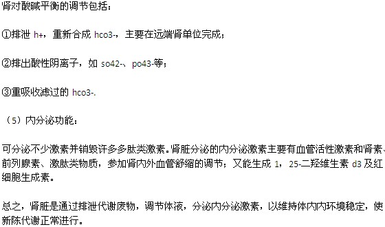 人體腎臟主要有哪些功能？