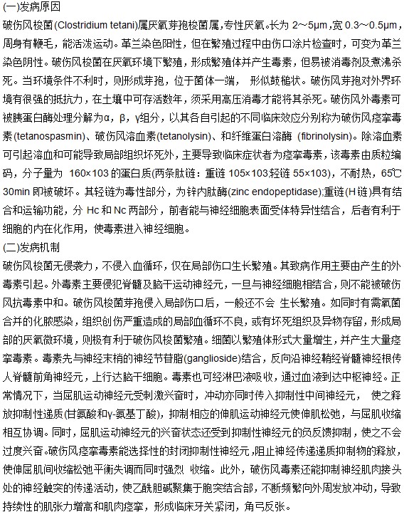 破傷風(fēng)的發(fā)病原理與發(fā)病機(jī)制是什么？