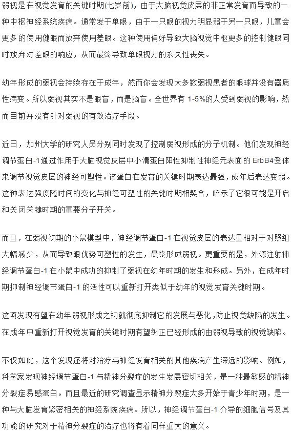 新發(fā)現(xiàn)弱視形成的分子機(jī)制