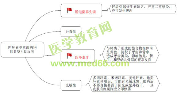 執(zhí)業(yè)藥師知識點